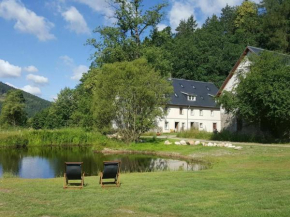 Spacious mansion in Janowice Wielkie with swimming pool